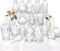 Set of 22 Clear Glass Bud Vases – Mini Rustic Centerpiece Vases for Wedding & Home Decor